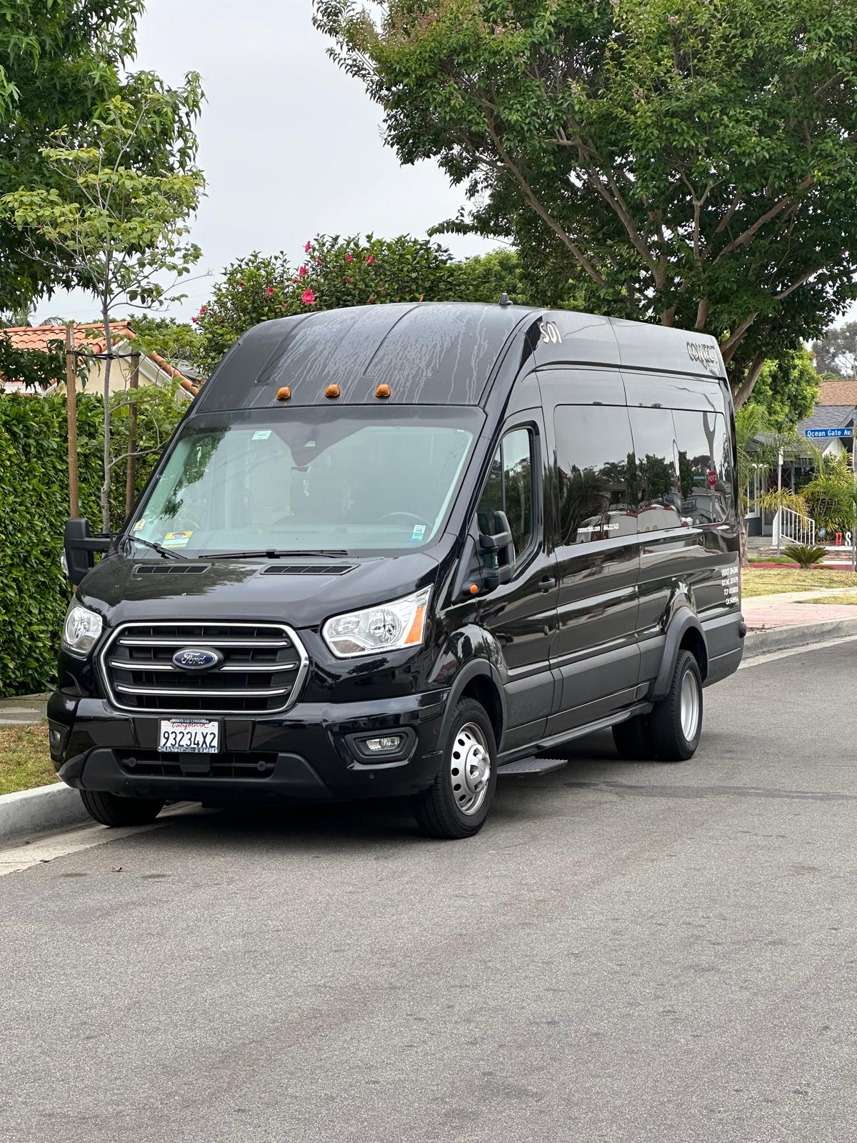 Professional chauffeur service experience